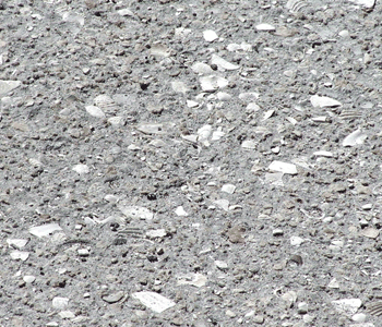 This is a close up of exposed shell aggregate. If too much cement paste is removed shell will ravel.