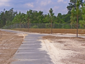 New walking trail in Wesley Chapel District Park