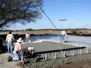 Pervious Concrete installed at Tampa International Airport allows this tree to continue to drink when it rains.