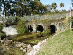 This picture demonstrates how polluted sediment is carried through storm sewers and discharged into the head of a canal used for boating, fishing and swimming.