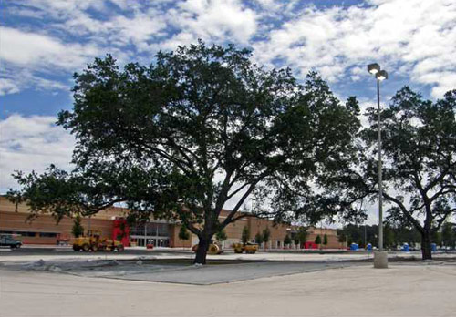 Parking Lot in Riverview, Florida